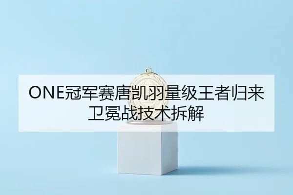 guan-jun-sai-tang-kai-yu-liang-ji-wang-zhe-gui-lai-wei-mian-zhan-ji-shu-chai-jie-3-461.jpg