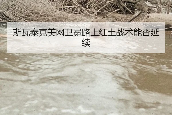 si-wa-tai-ke-mei-wang-wei-mian-lu-shang-hong-tu-zhan-shu-neng-fou-yan-xu-3-504.jpg