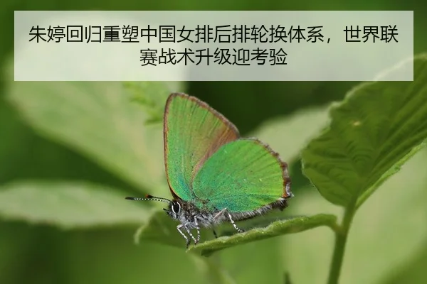 zhu-ting-hui-gui-zhong-su-zhong-guo-nv-pai-hou-pai-lun-huan-ti-xi-shi-jie-lian-sai-zhan-shu-sheng-ji-ying-kao-yan-3-720.jpg