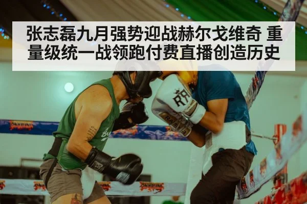 张志磊九月强势迎战赫尔戈维奇 重量级统一战领跑付费直播创造历史